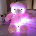 Urso de Pelúcia com Luzes LED – Ilumine Seus Momentos com Fofura e Magia!